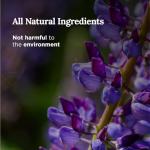 Tarot Energy Cleansing Sage Candle 6oz (Sage + Lavender)