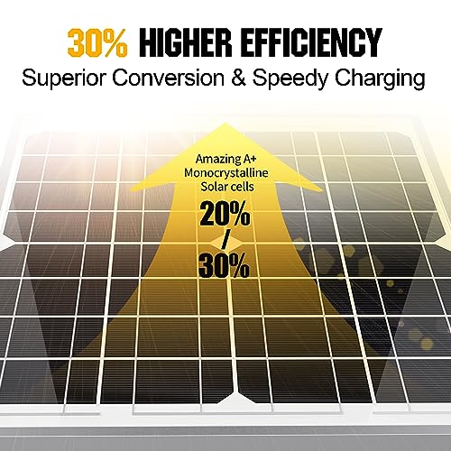20W 12V Solar Panel Kit with Controller & Mount