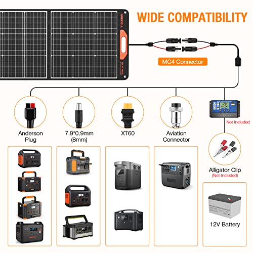 Portable 200W Solar Panel Kit for Off-Grid Living