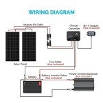 Renogy 200W Monocrystalline Solar Starter Kit
