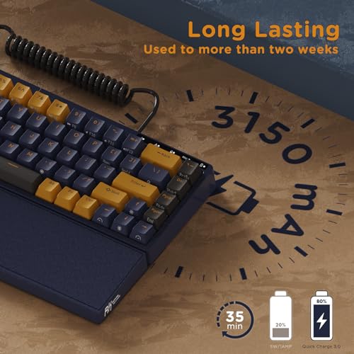 RK Royal Kludge RKS70 Split Wireless Gaming Keyboard