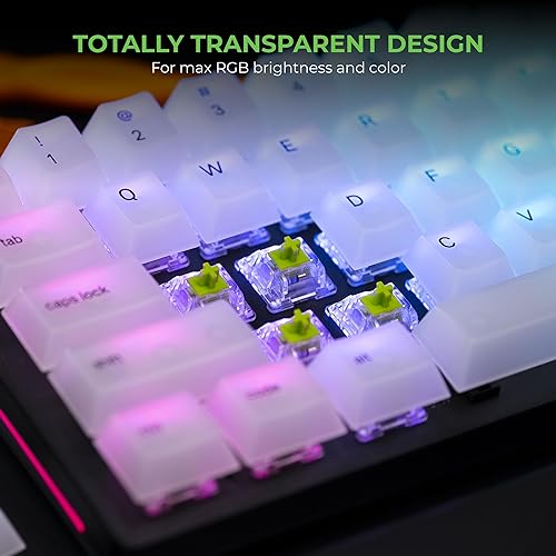 Glorious Raptor Clicky Switches: 36 PCS, Transparent