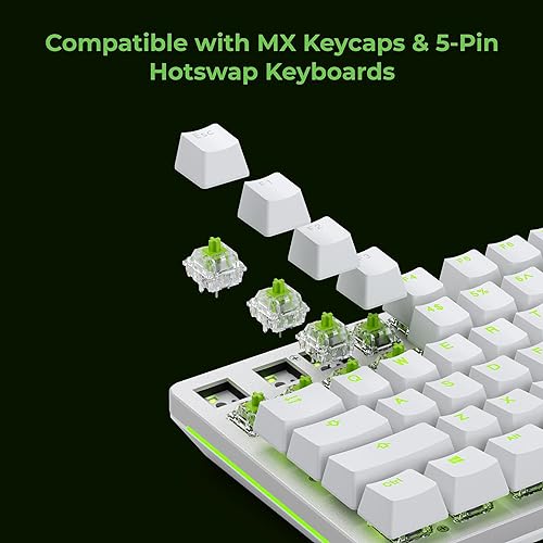 Glorious Raptor Clicky Switches: 36 PCS, Transparent