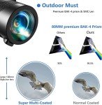 High-Powered Compact Parabolic Microphone for Outdoor Use