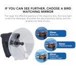 Portable Parabolic Microphone for Bird Watching