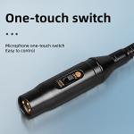 Depusheng Professional XLR Gooseneck Stage Microphone
