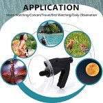 Parabolic Microphone for Long Range Bird Listening