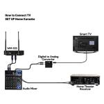 Innopow Dual UHF Wireless Microphone Set