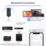 Bietrun Wireless Microphone System with Bluetooth & Echo