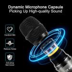 Dual Wireless Handheld Microphone System for Events