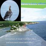 8X Parabolic Microphone for Outdoor Sound Capture