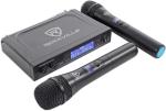 Dual Wireless Handheld Microphone System with 2 Mics