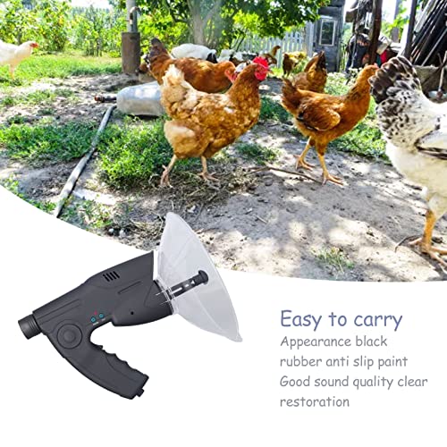 Parabolic Microphone: Birds Listening Telescope, 656ft Range