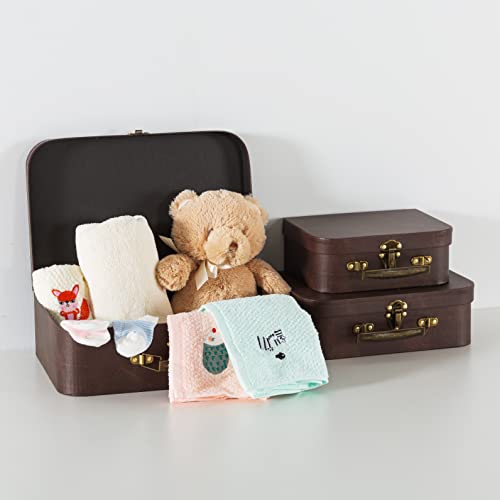 Vintage Brown Leather Paperboard Suitcase Set