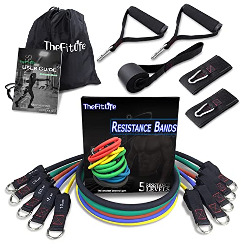 TheFitLife Resistance Bands Set with Handles and Accessories