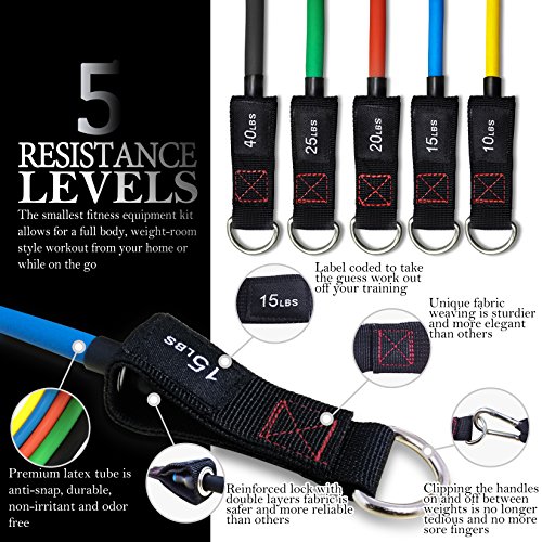 TheFitLife Resistance Bands Set with Handles and Accessories