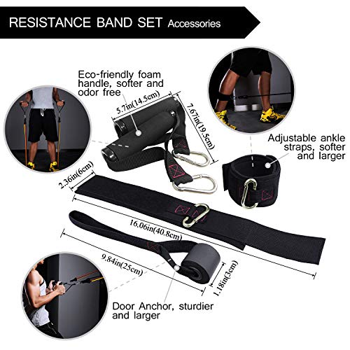 TheFitLife Resistance Bands Set with Handles and Accessories