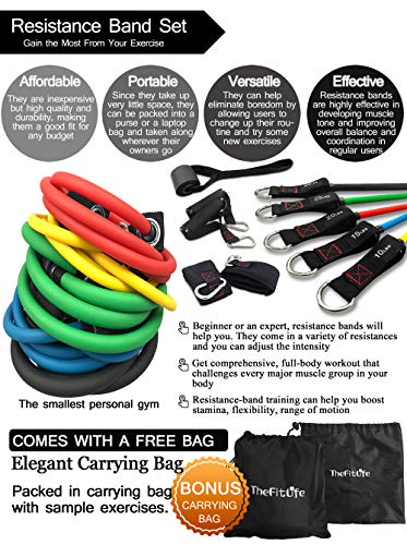 TheFitLife Resistance Bands Set with Handles and Accessories