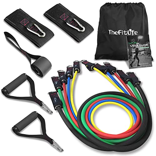 TheFitLife Resistance Bands Set with Handles and Accessories