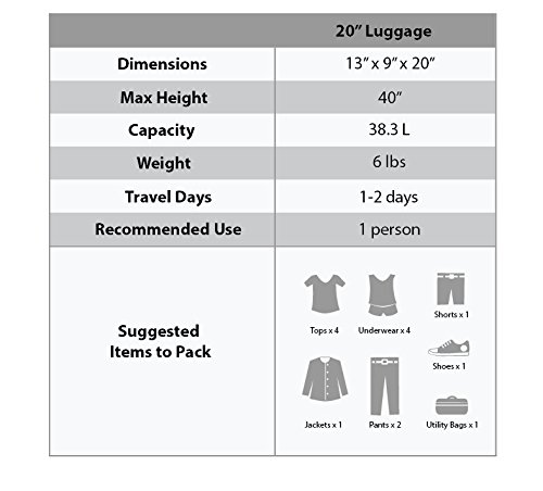 Rockland Leopard Hardside Spinner Carry-On Luggage - 20