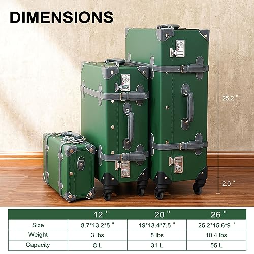 Cute Vintage Luggage Set with Spinner Wheels - 2 Piece