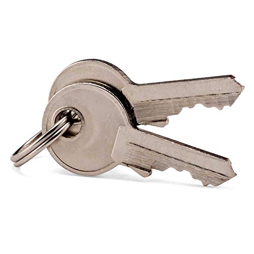 Samsonite TSA 2-Pack Brass Key Locks