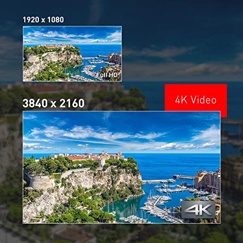 Panasonic LUMIX ZS100 4K Digital Camera