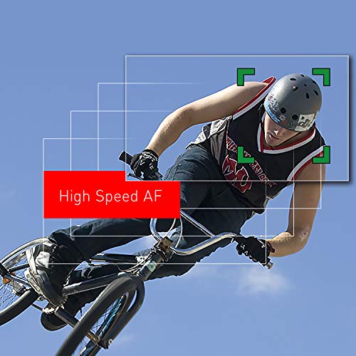 Panasonic LUMIX ZS100 4K Digital Camera