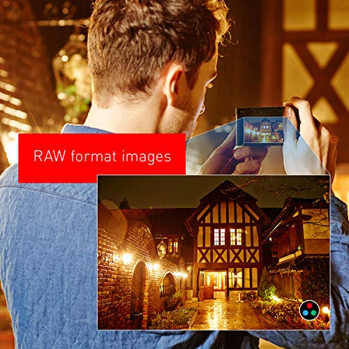 Panasonic LUMIX ZS100 4K Digital Camera