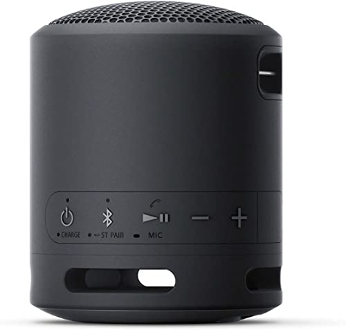 Sony Portable Waterproof Speaker with Extra Bass - SRSXB13