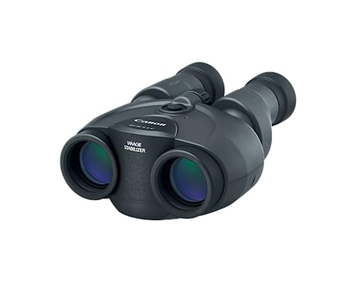 Canon 10x30 Stabilization II Binoculars
