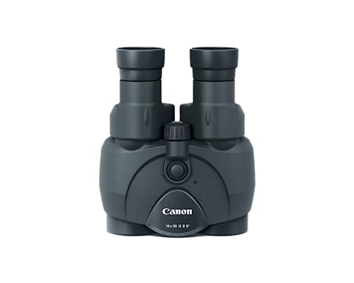 Canon 10x30 Stabilization II Binoculars