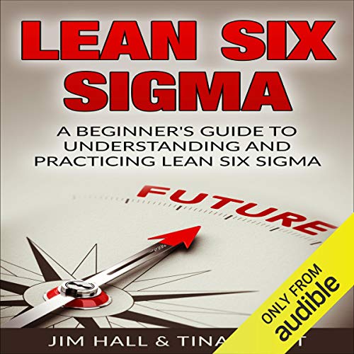 Lean Six Sigma: Beginner's Guide to Mastering the Method