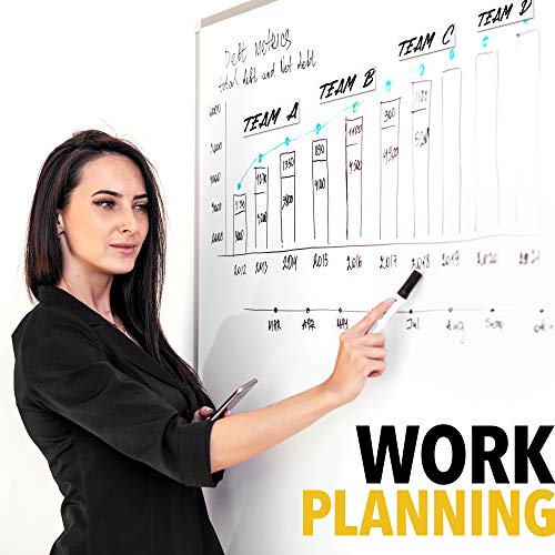 Reusable Dry Erase Magnets - Six Sigma Training