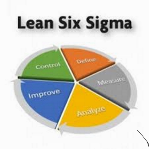 Lean Six Sigma Training