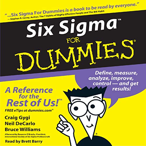 Easy Lean Six Sigma Training for Beginners
