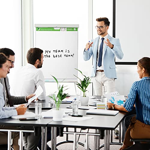 Lean Six Sigma Training Easel Pad Set