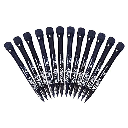 12-Pack Magnetic Black Dry Erase Markers with Eraser