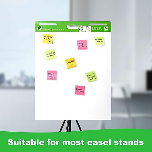 Lean Six Sigma Training Flip Chart Easel Pad