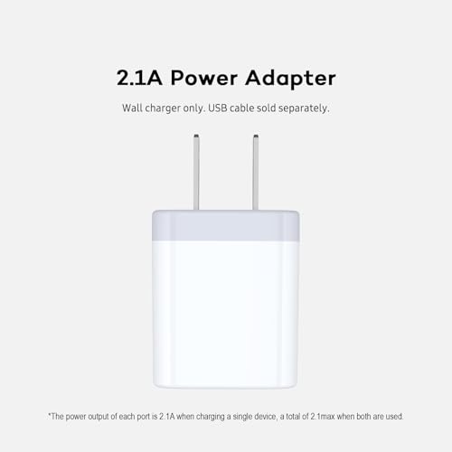 Dual Port Quick Charger for iPhone & Samsung