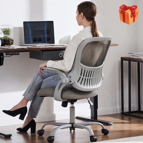 Ergonomic Mesh Office Desk Chair, Swivel, Lumbar Support - Grey