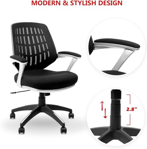 CLATINA Mesh Office Desk Chair with Lumbar Support