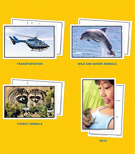 Toddler Flash Cards: Vocabulary for Early Learning Ages 3+