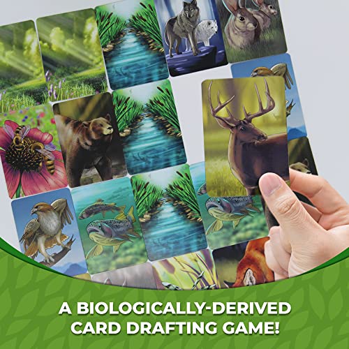 Ecosystem: A Wildlife-themed Card Game for All Ages
