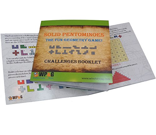 Wooden Pentomino Puzzle - Brain Teaser Game