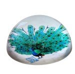 Peacock Art Glass Paperweight with Stamps Display