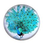 Peacock Art Glass Paperweight with Stamps Display
