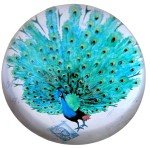Peacock Art Glass Paperweight with Stamps Display