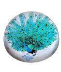 Peacock Art Glass Paperweight with Stamps Display