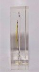 Richard Nixon Plexiglass Encased Postage Stamp Paperweight